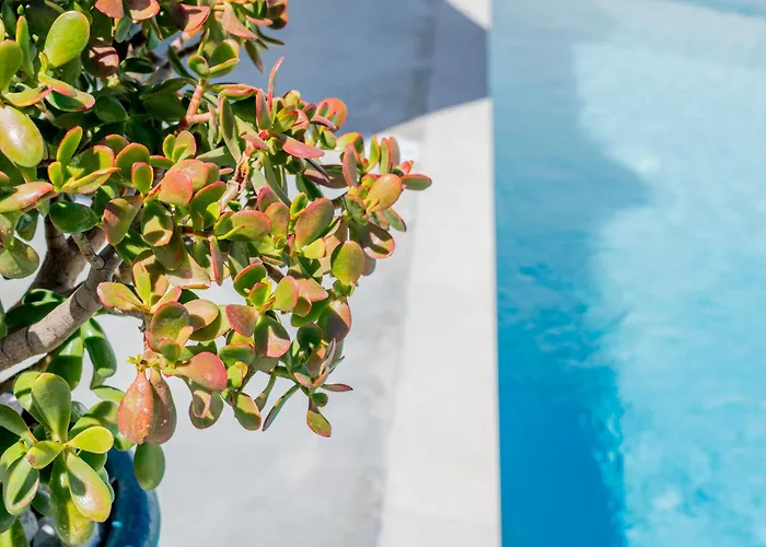 Simana Mediterranean Pool *